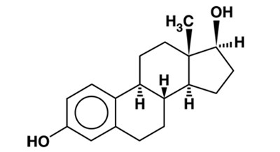 Image Of Estradiol Chemical Structure (Estradiol Chemical Structure)